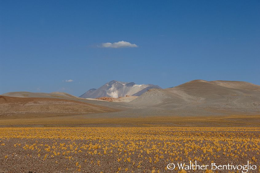 Nikon D2Xlens Nikon AF-S 24-70/2.8 IF-EDSalar de Maricunga - Chile Cordillera andina