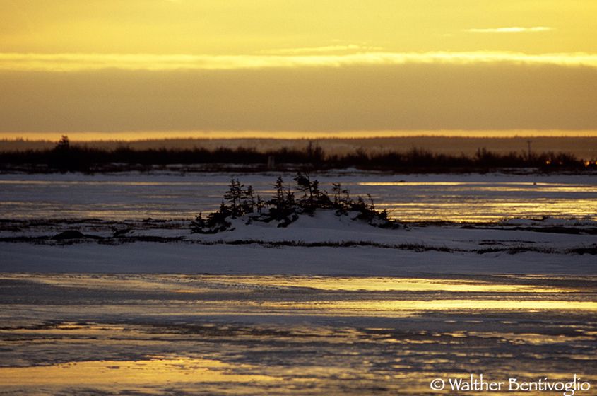 Tramonto sulla tundra