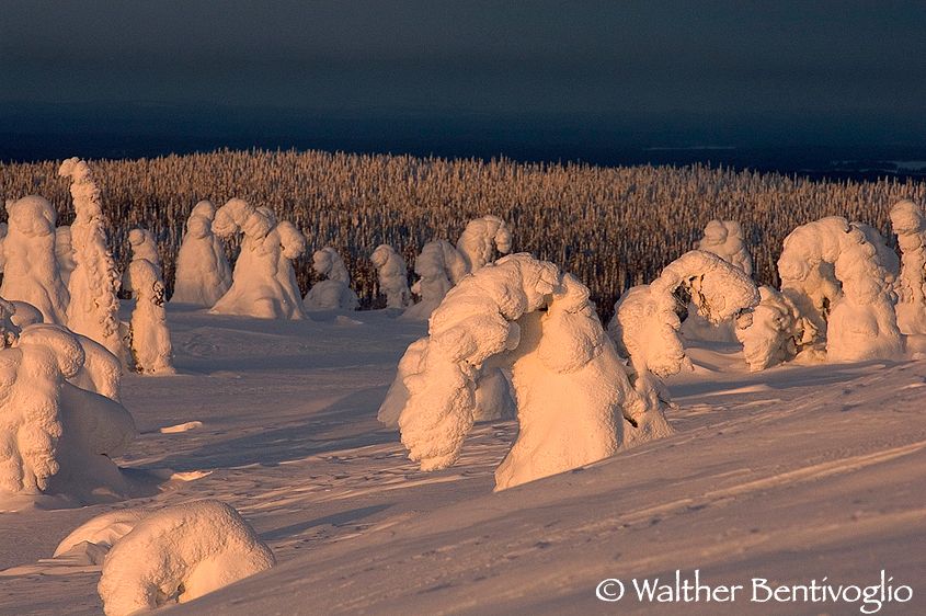 Alba da Riisi Tunturi
