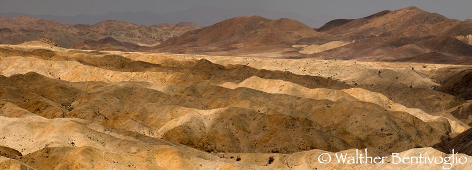 Nikon D300lens Nikon AF-S VR 70-200/2.8 G IF-EDPanorama da due scattiParque Nacional Pan de Azucar - Chile Pan de Azucar panorama