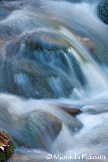 Nikon D200lens Nikon AF-D 80-200/2.8 EDParco Nazionale Foresta Bavarese - Germania Nella corrente