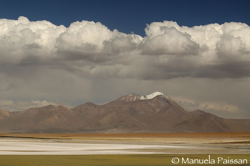 Nikon D300lens Nikon AF-S VR 70-200/2.8 IF-EDMonumento natural Salar de Surire - Chile Salar de Surire