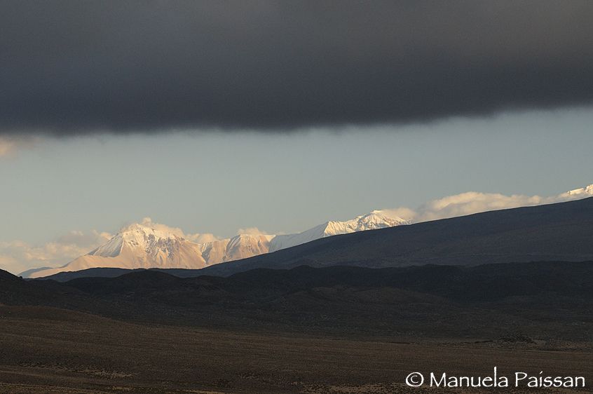 Nikon D300lens Nikon AF-S VR 70-200/2.8 IF-EDParque Nacional Lauca - Chile Altopiano andino
