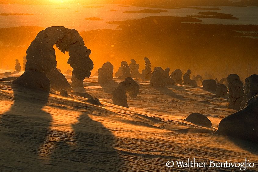 Alba da Riisi Tunturi