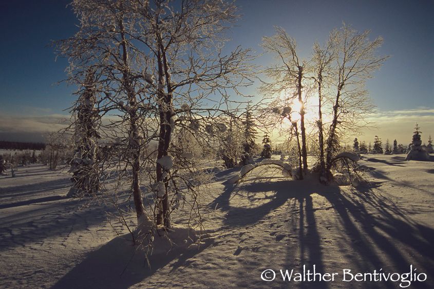 Alba invernale (Kuusamo)