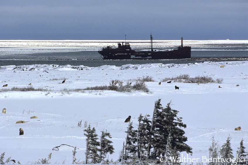 Relitto nella Baia di Hudson