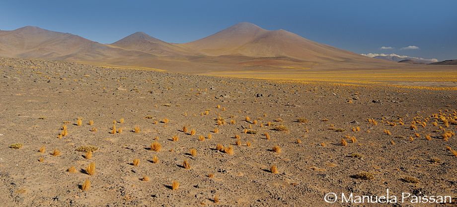 Nikon D300lens Nikon AF-D 18-35/3.5-4.5 EDParque Nacional Nevado tres Cruces - Chile Altopiano desertico