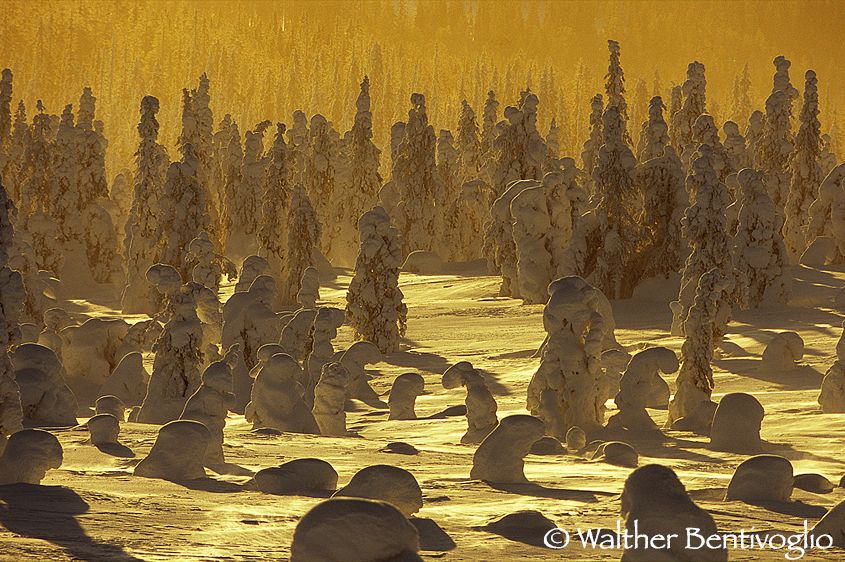 Alba da Riisi Tunturi