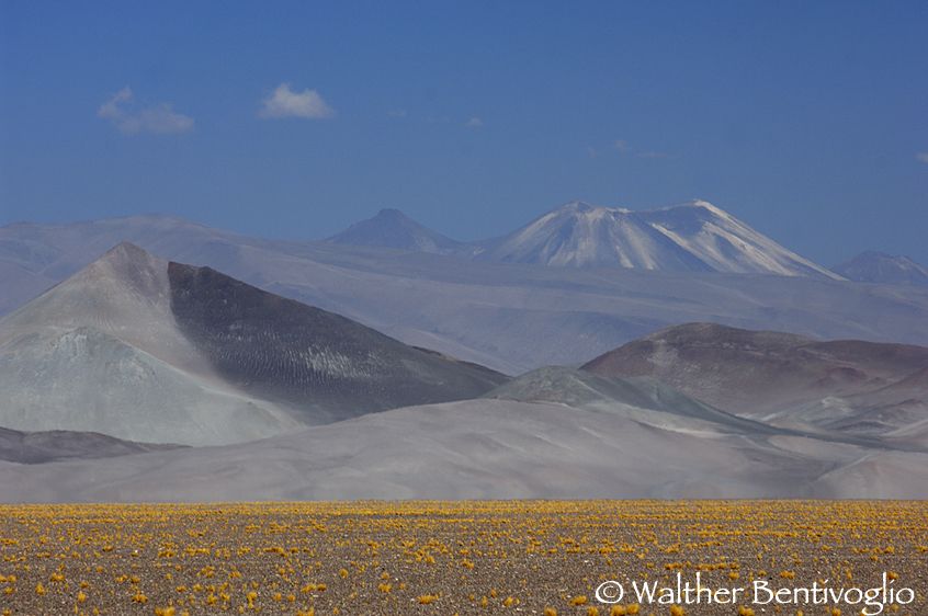 Nikon D2Xlens Nikon AF-D 80-200/2.8 EDCordillera de Claudio Gay - Chile Cordillera andina