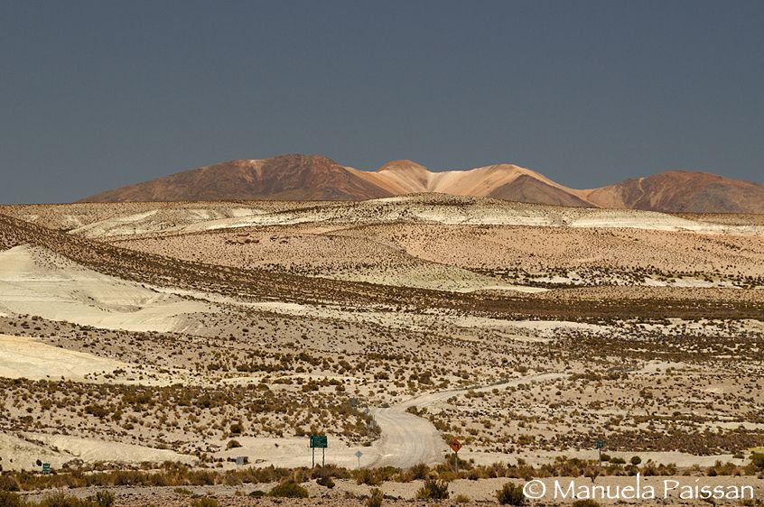 Nikon D300lens Nikon AF-S VR 70-200/2.8 IF-EDReserva Nacional las Vicunas Pista sull'altopiano