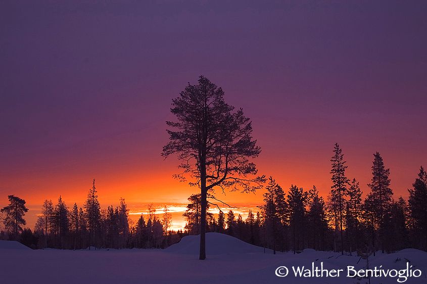Luci dell'alba (Kuusamo)