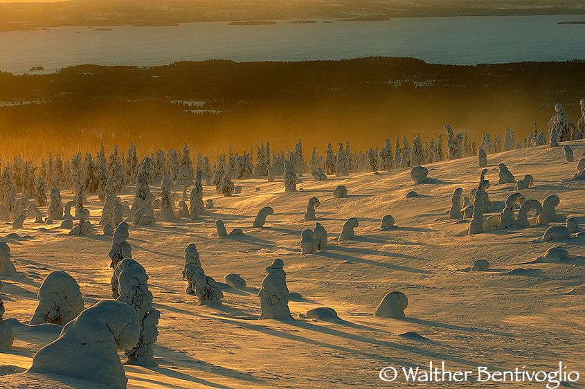 Alba da Riisi Tunturi