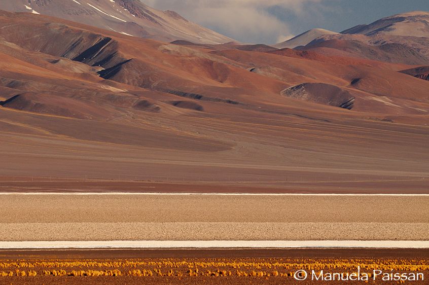 Nikon D300lens Nikon AF-S VR 70-200/2.8 IF-EDSalar de Maricunga - Chile Salar de Maricunga