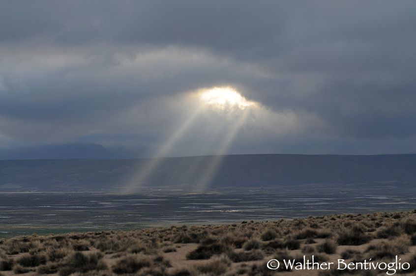 Nikon D300lens Nikon AF-S VR 70-200/2.8 IF-EDParque Nacional Lauca - Chile Luci sull'altopiano