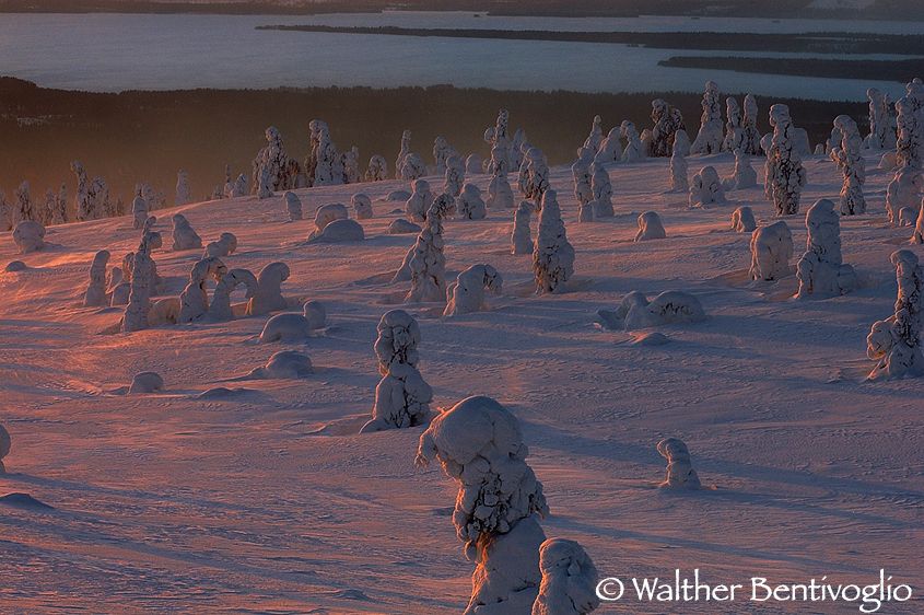 Alba da Riisi Tunturi