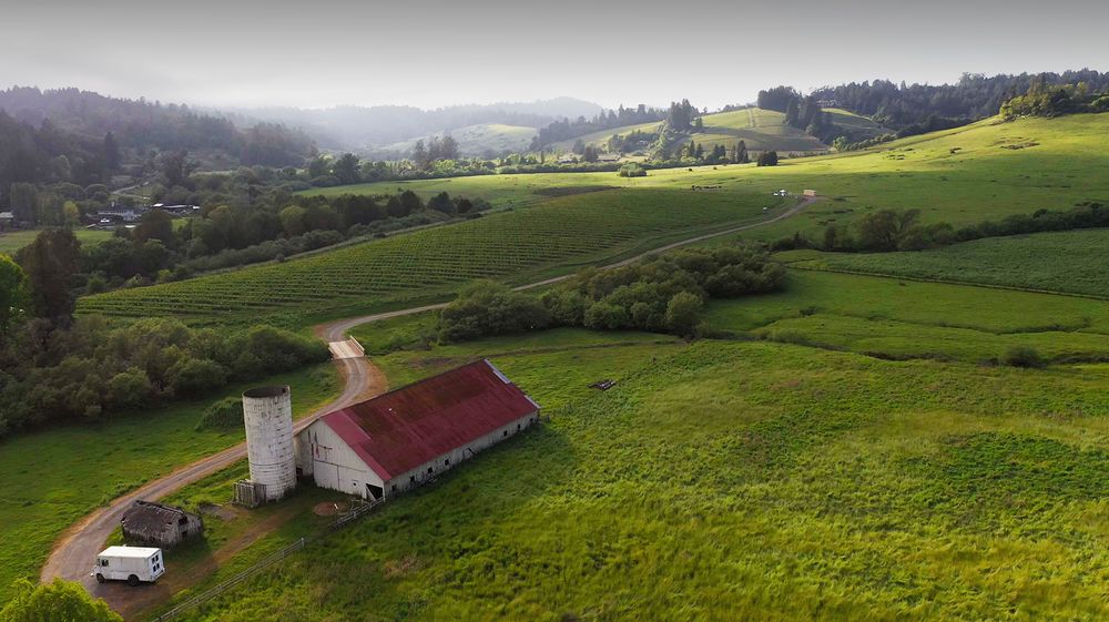 freestone landscape.jpg