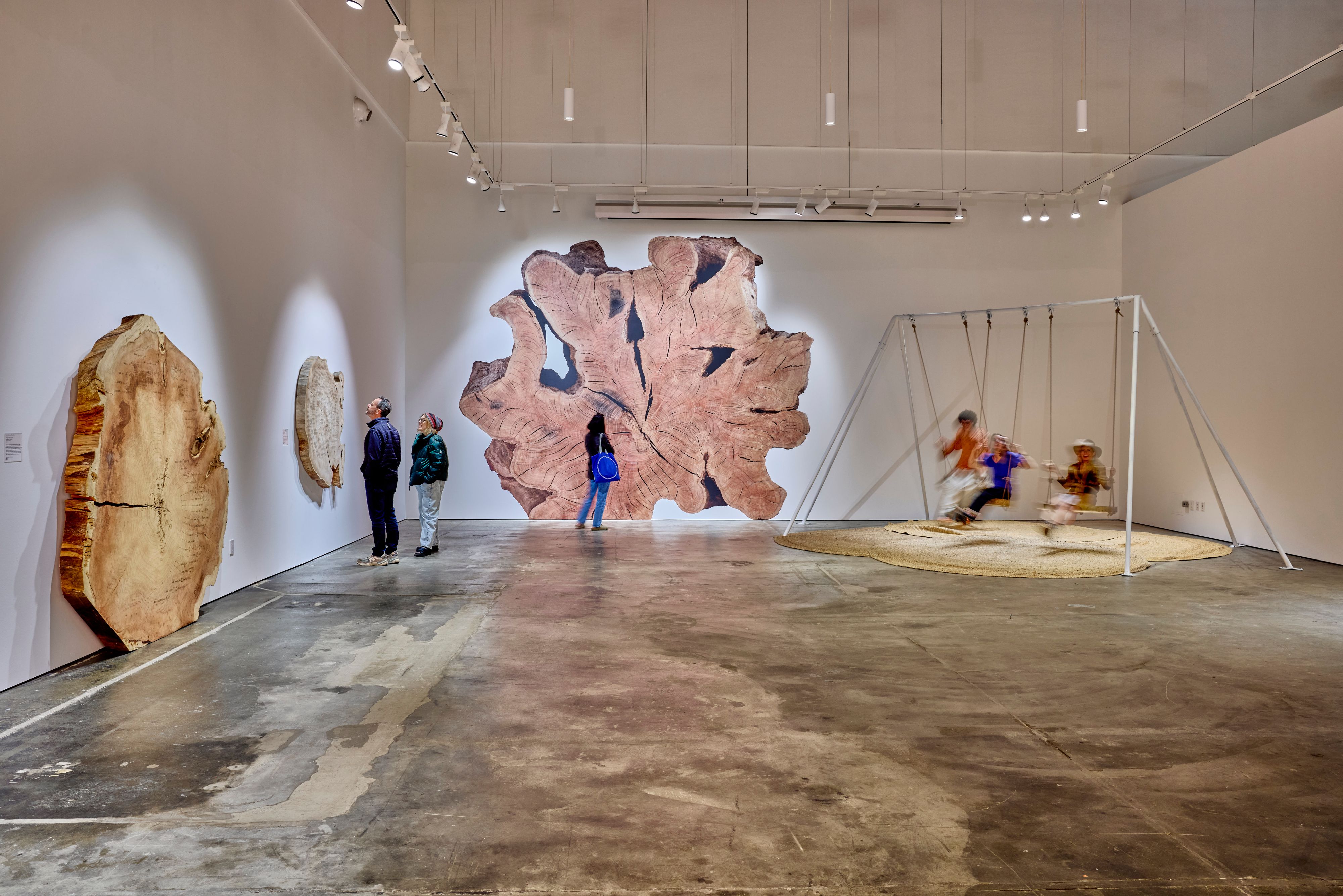 Tiffany Shlain_Di Rosa Gallery Shlain_Di Rosa_0652.jpg