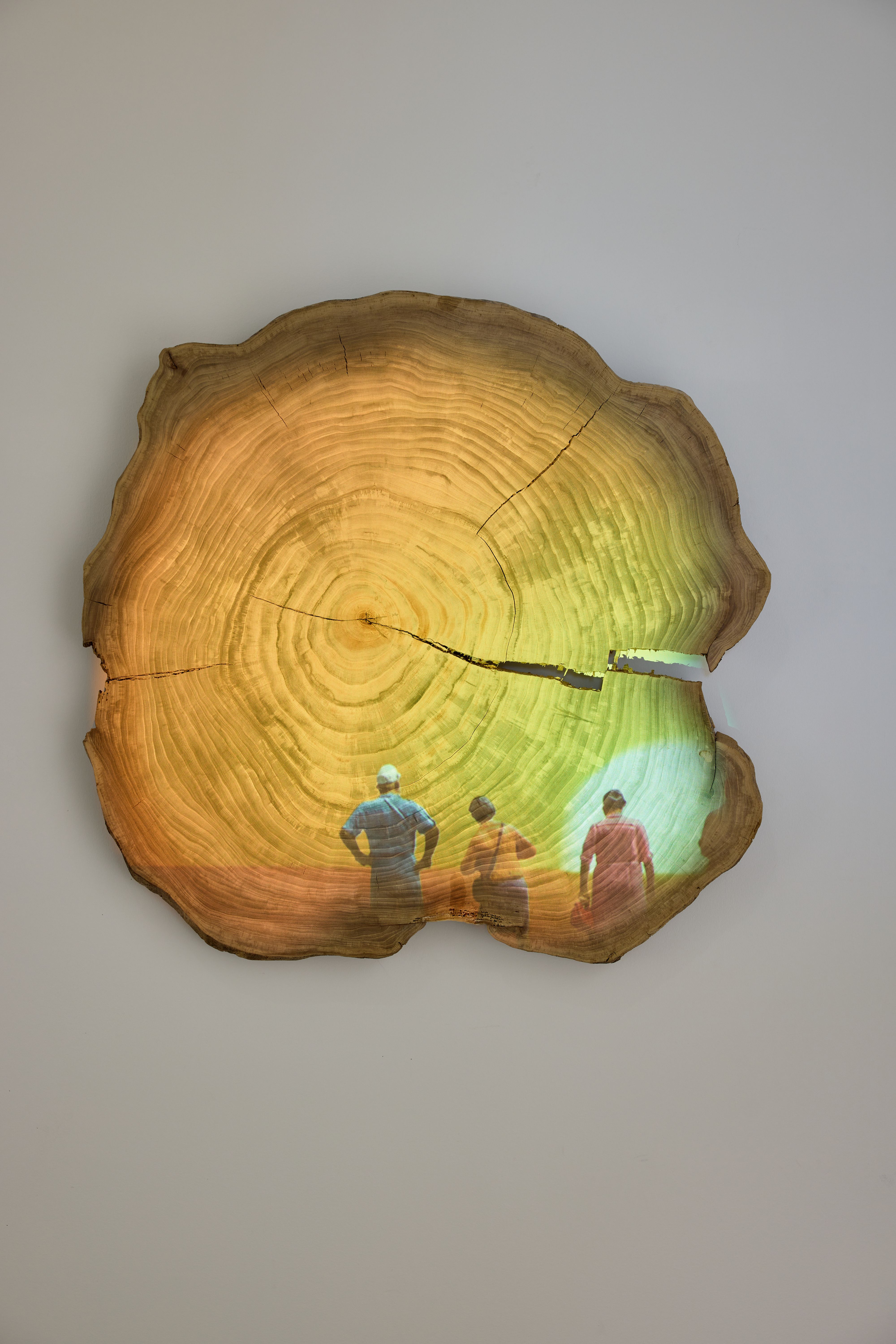 Tiffany Shlain_Di Rosa Gallery Shlain_Di Rosa_0087.jpg