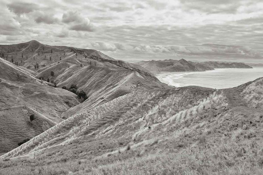 Nick's Head, Gisborne, New Zealand