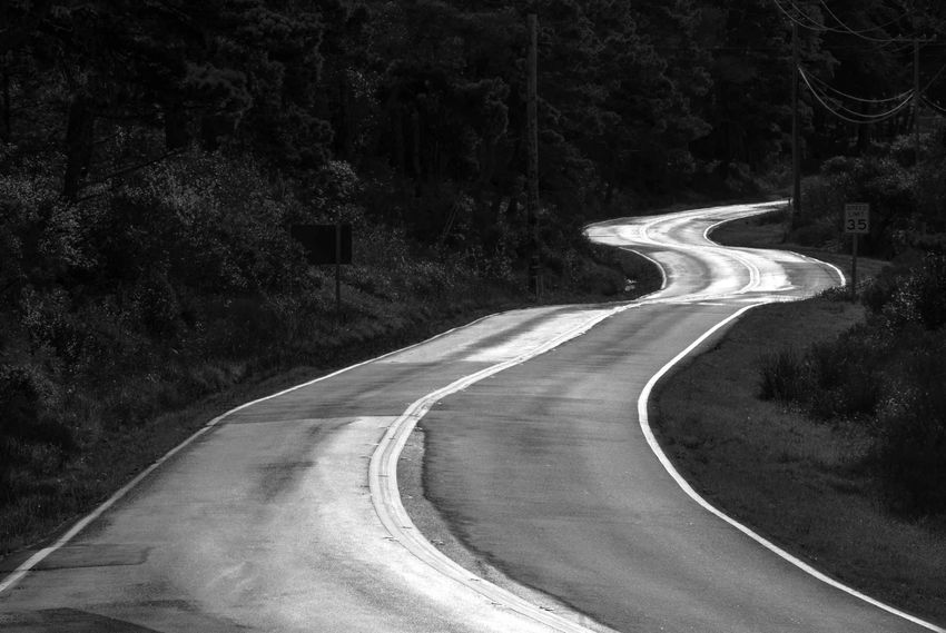 Pierce Point Road, Pt. Reyes, CA