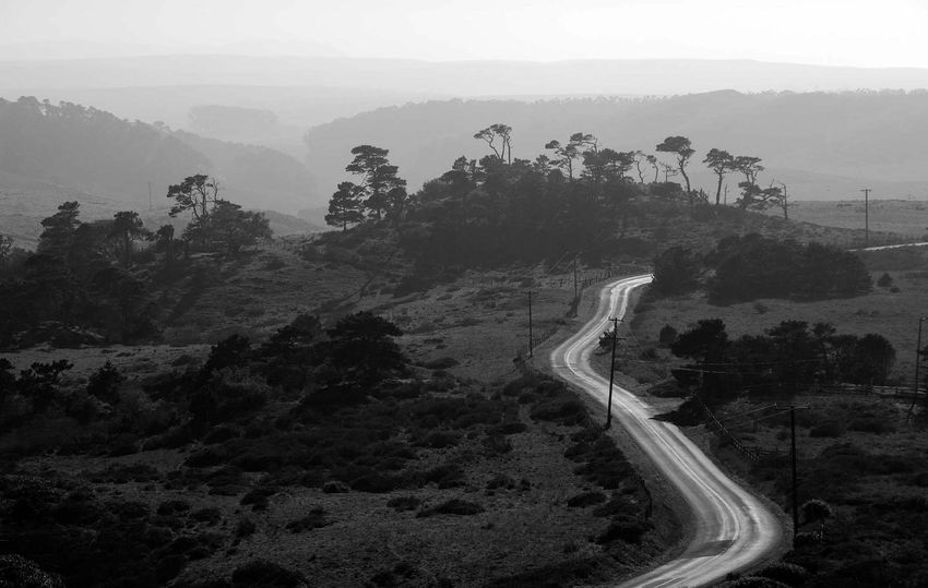 Tomales Point Road, Point Reyes, CA