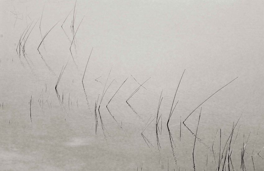 Abbott's Lagoon, Point Reyes, CA