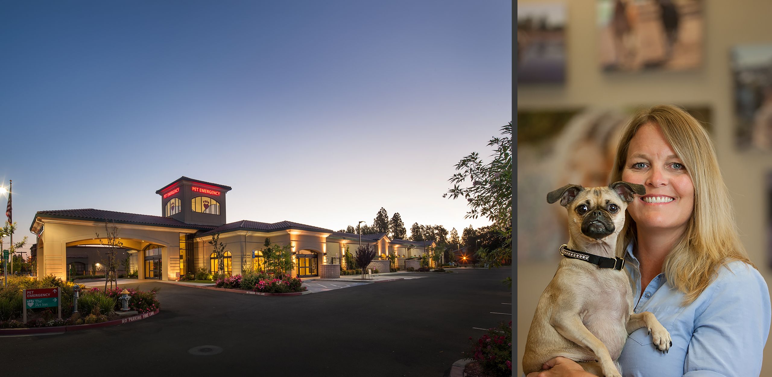 Muellers Animal Hospital, Sacramento, CA. 15.jpg