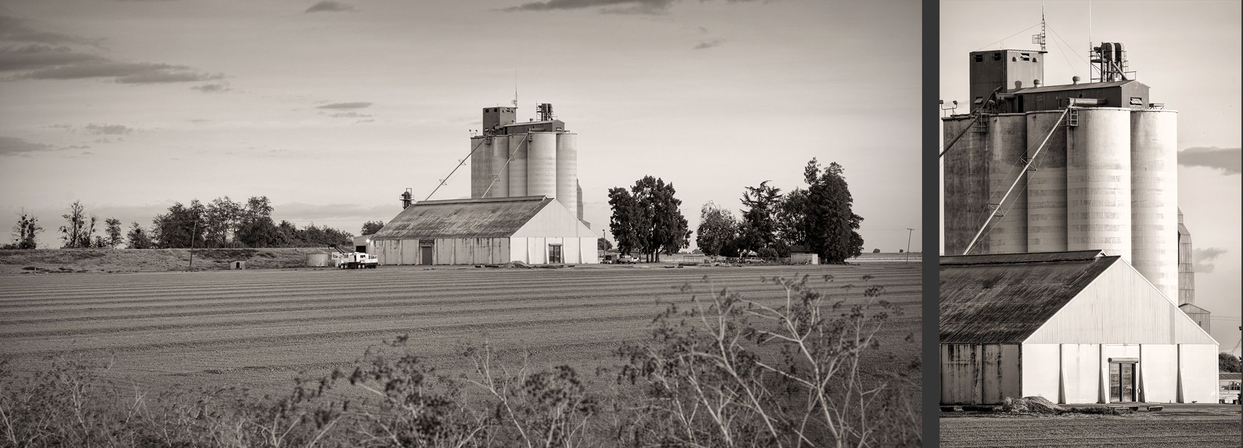 The California Delta Delta.1.jpg