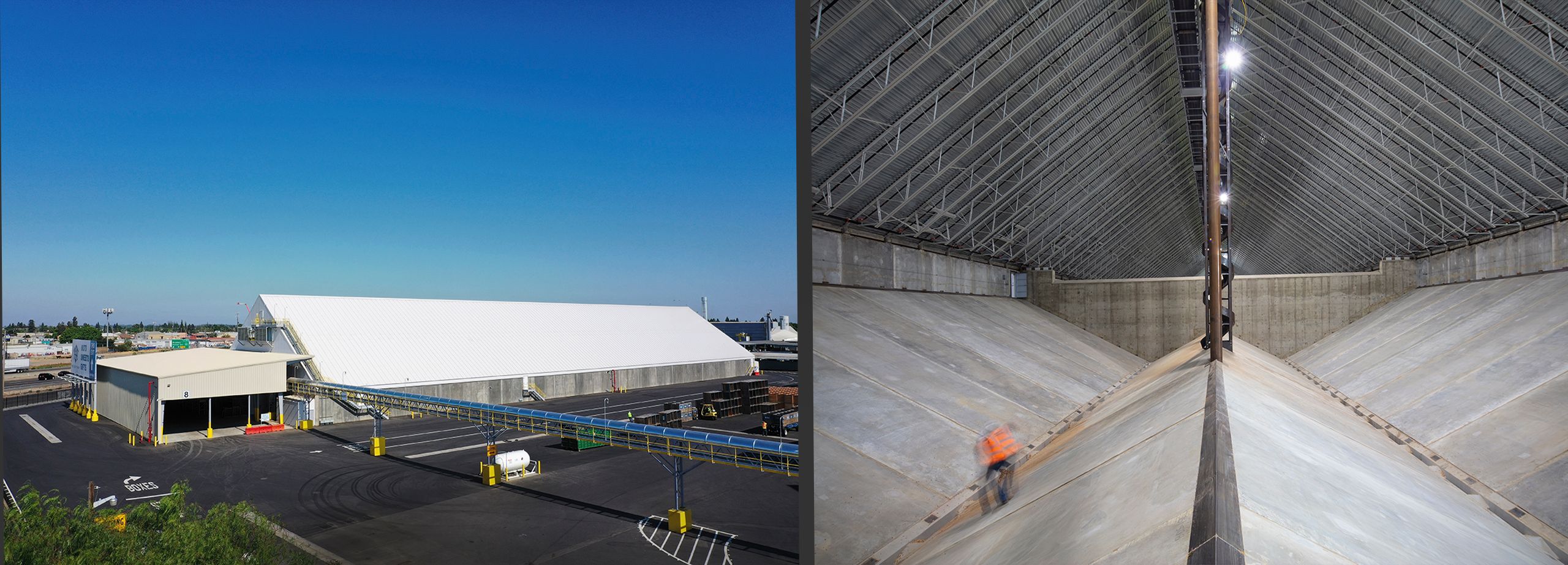 Almond Growers, Whiting Turner Construction  Almond.4.jpg