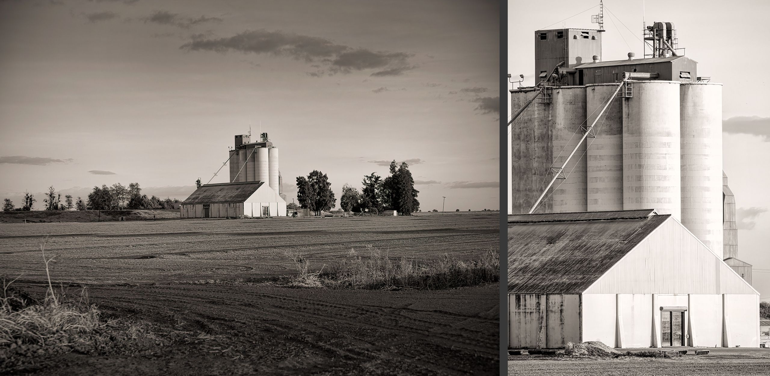 California Delta, California Walnut.Grove.1.jpg