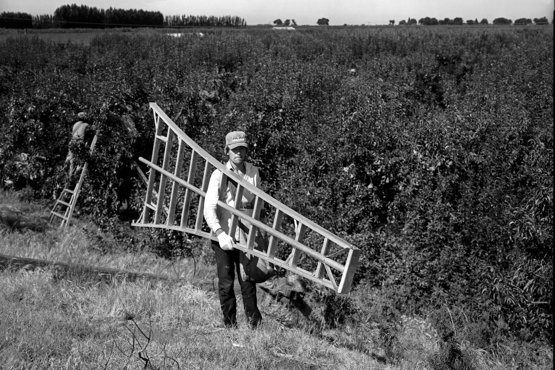 Stillwater Ranches, Courtland, Ca. 106a