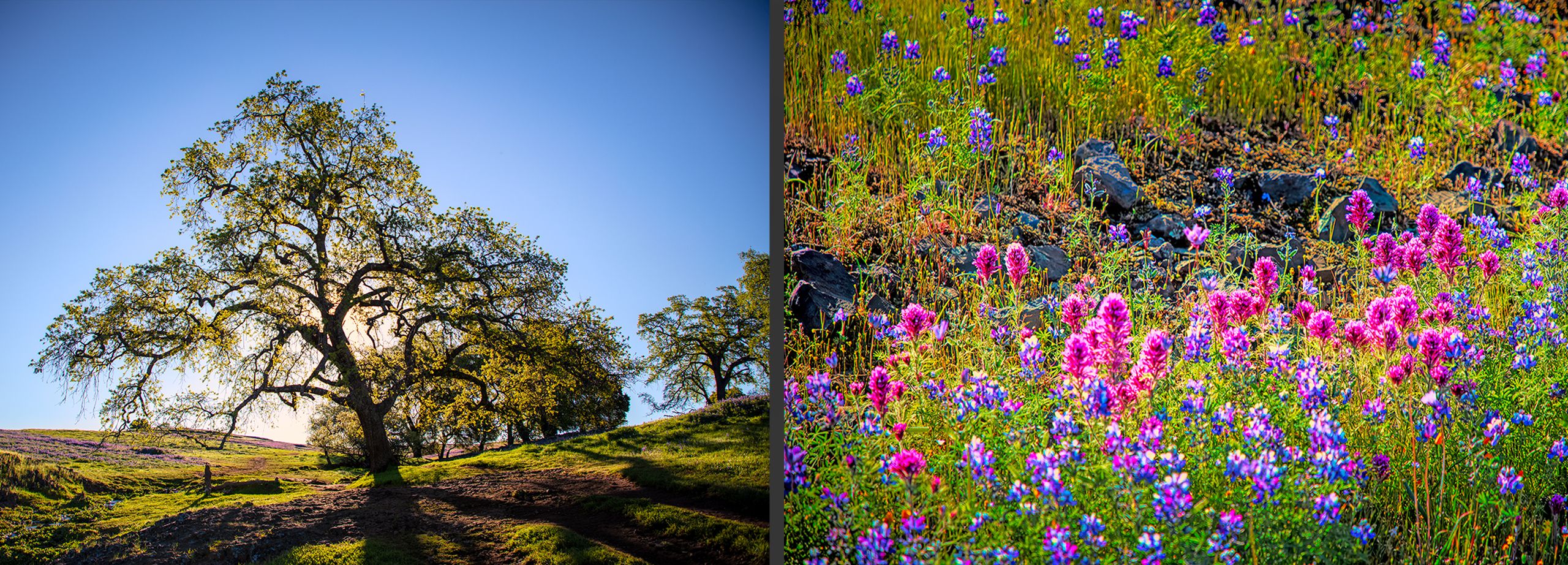 Table Mountain, California Table.Mountain.jpg