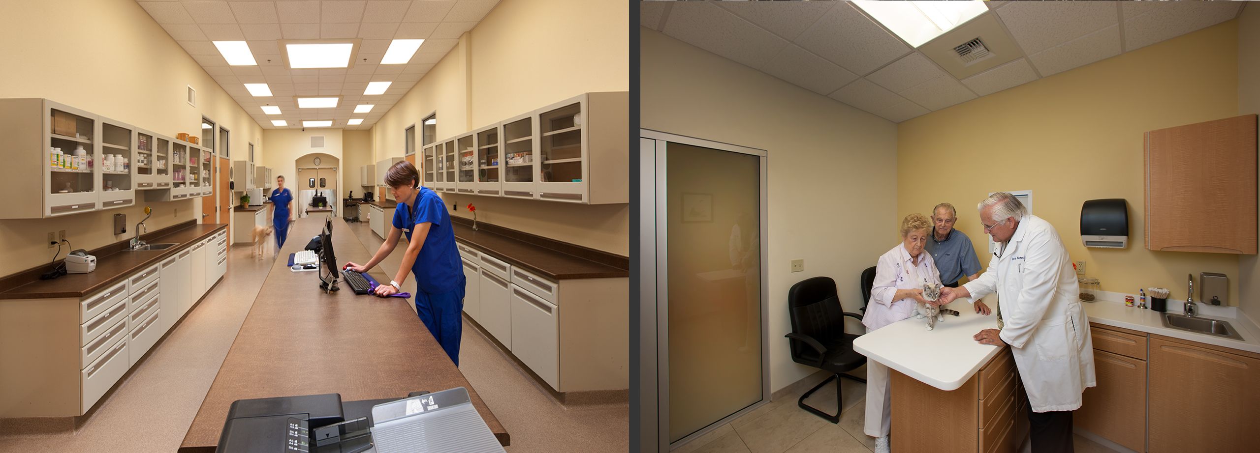 Muellers Animal Hospital, Sacramento, CA. 17.jpg