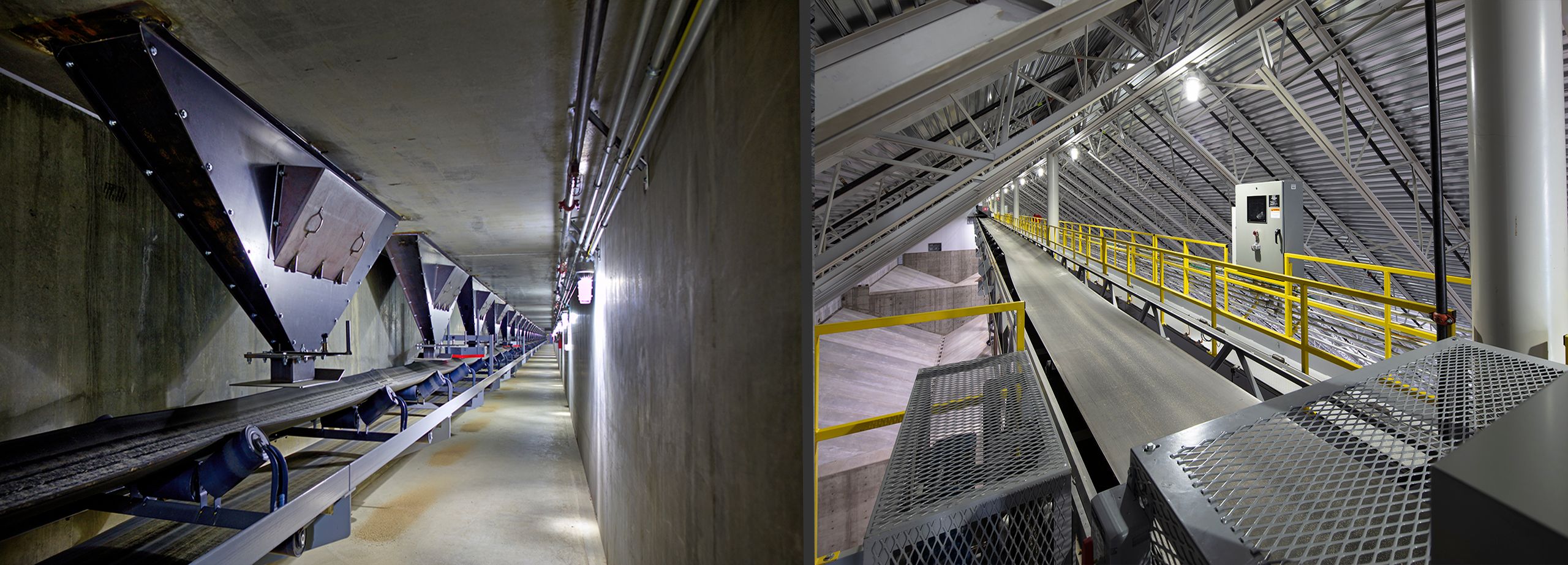 Almond Growers, Whiting Turner Construction  Almond.5.jpg