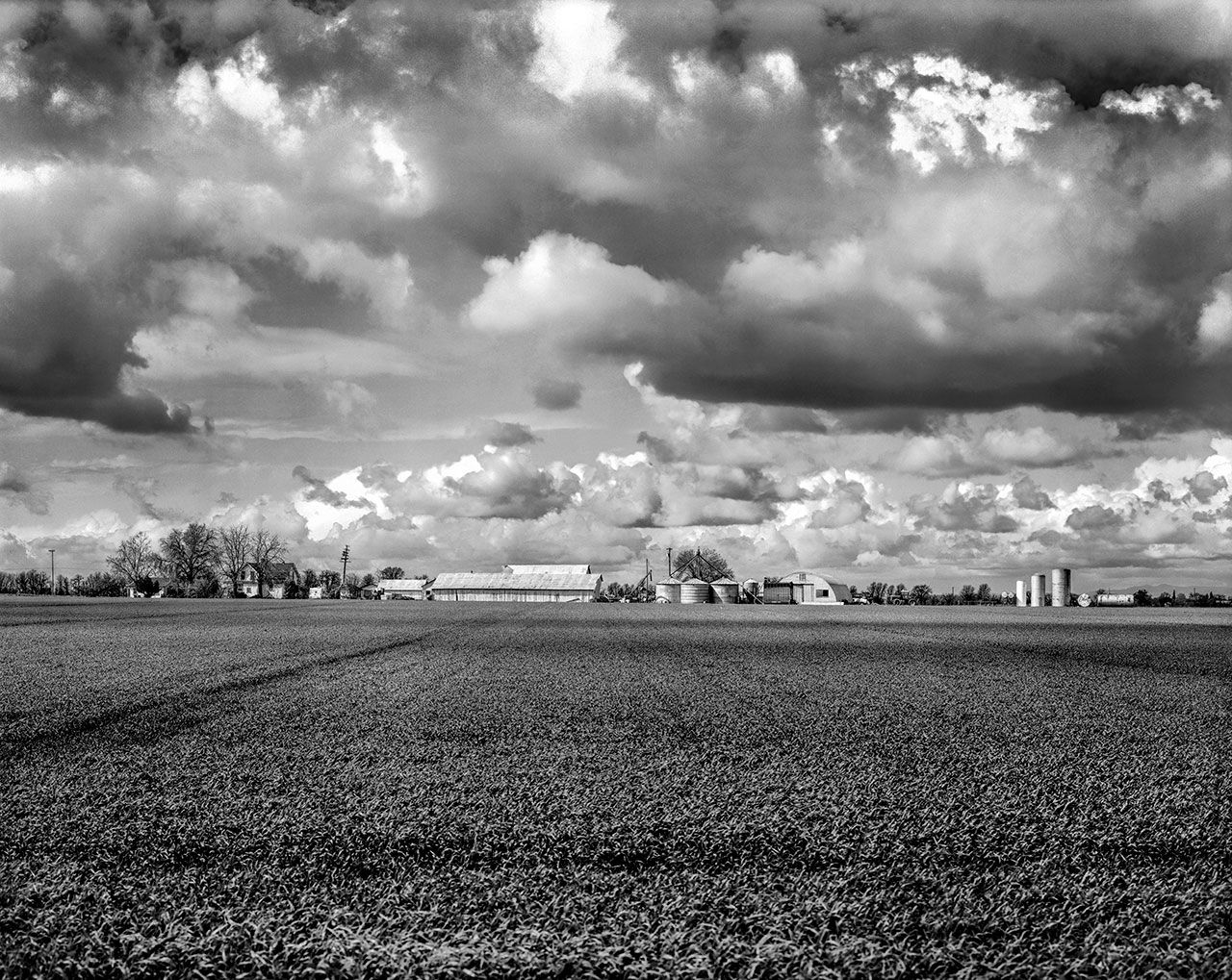 Pilemans Ranch, Clarksburg, Ca 17.jpg