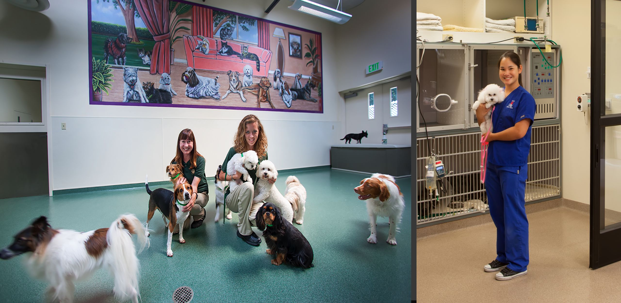 Medical & Veterinary Hospitals - Ed Asmus Photography