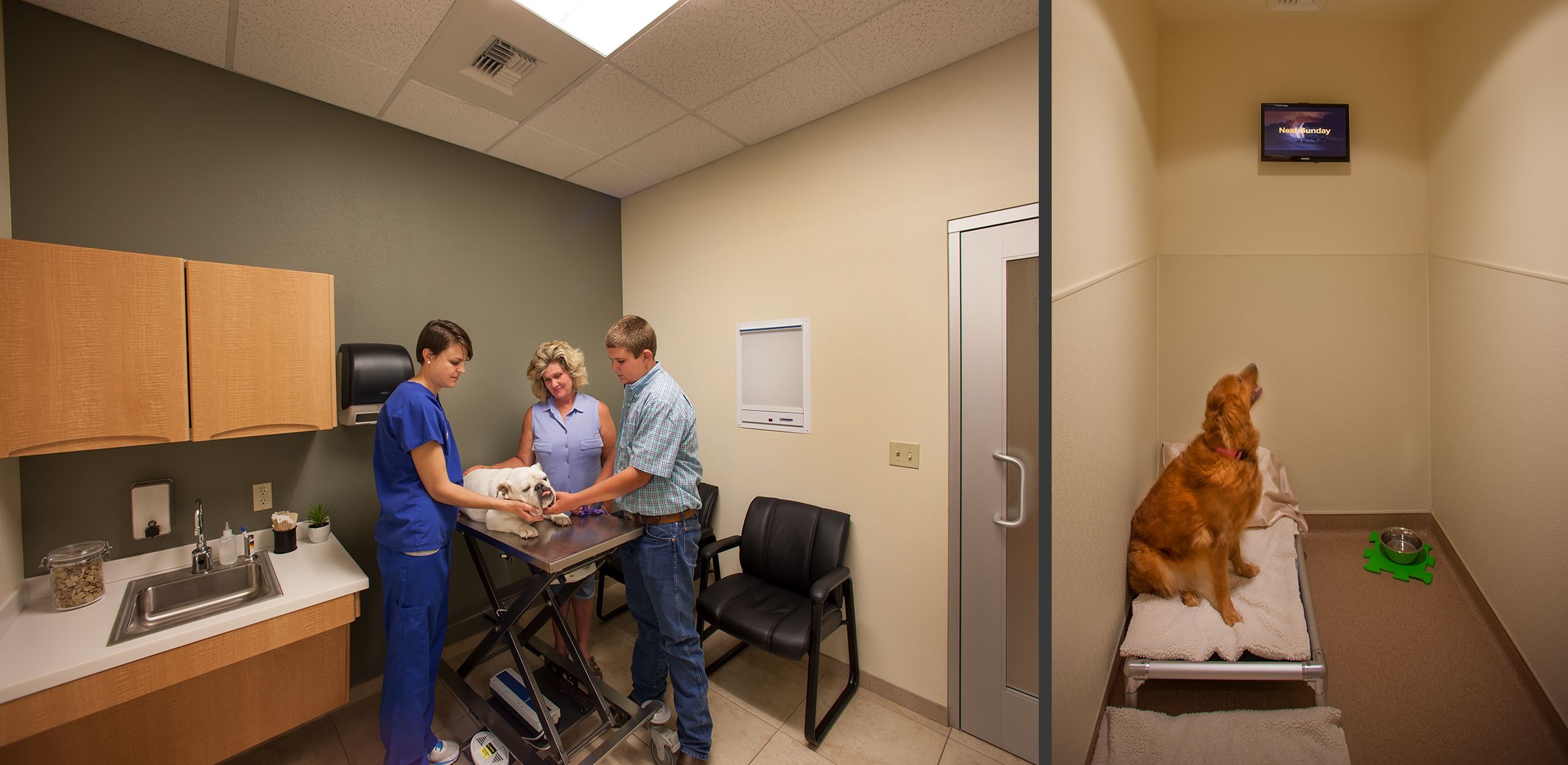 Medical & Veterinary Hospitals Ed Asmus Photography