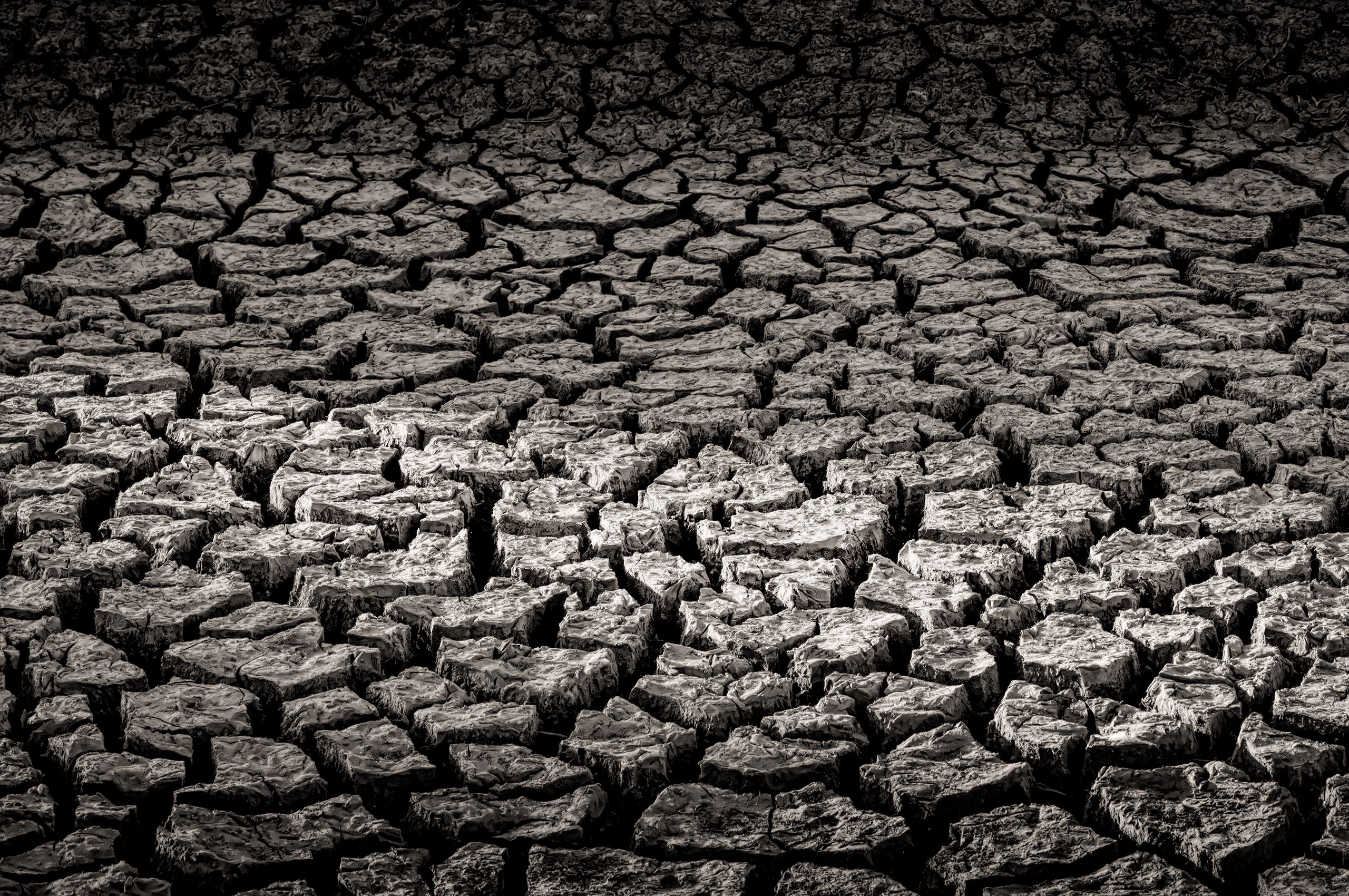 Cracked Mud, Yolo Bypass, CA. _Q8A7860bw.jpg