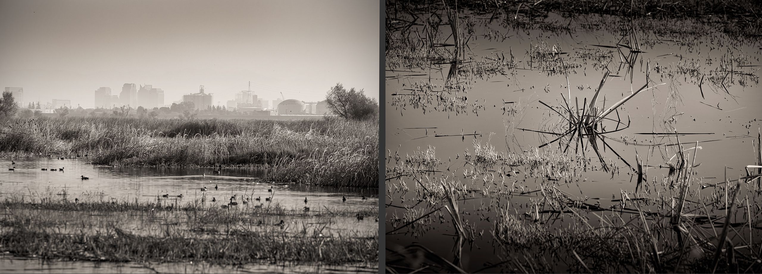 Yolo Bypaas, California Yolo.1.jpg