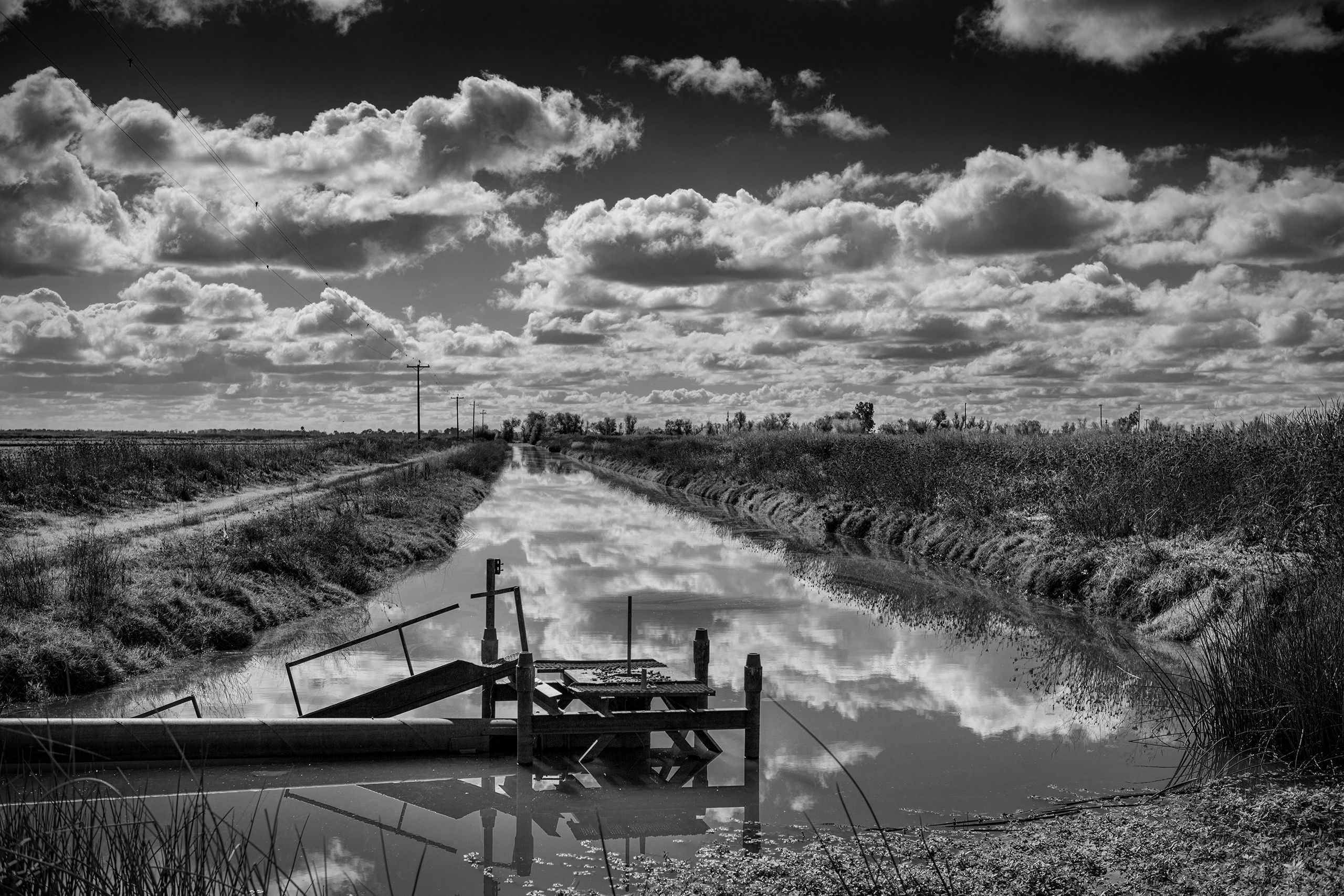 Yolo Bypass, California Yolo.4.jpg