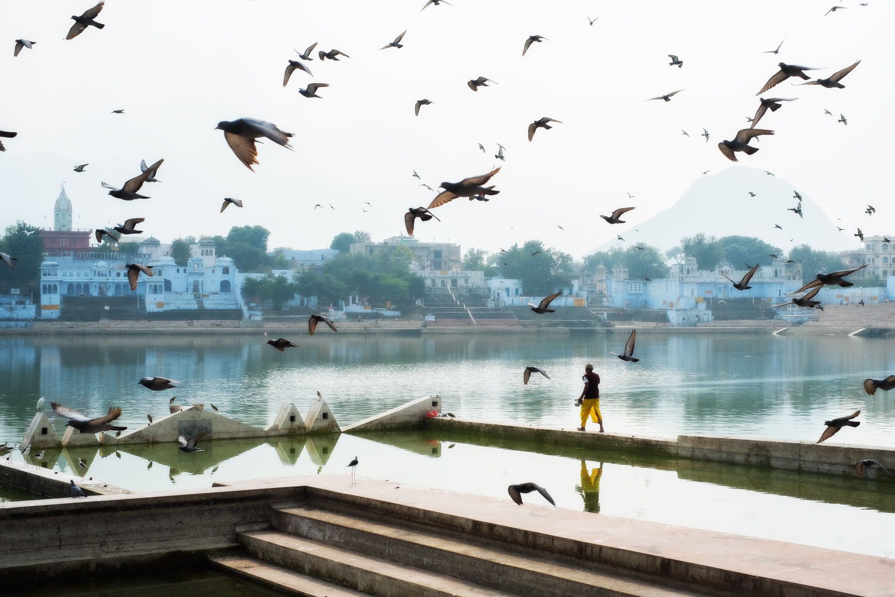 Pushkar. Rajasthan, India. India, 2014