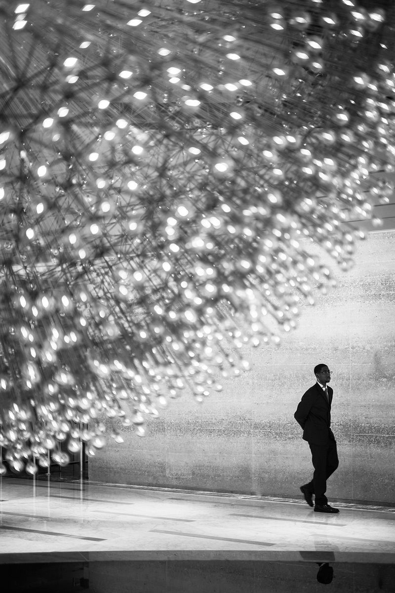 Runner Up Best UnClassified Professional Photographers Of British Columbia -- 2015 Close Encounters