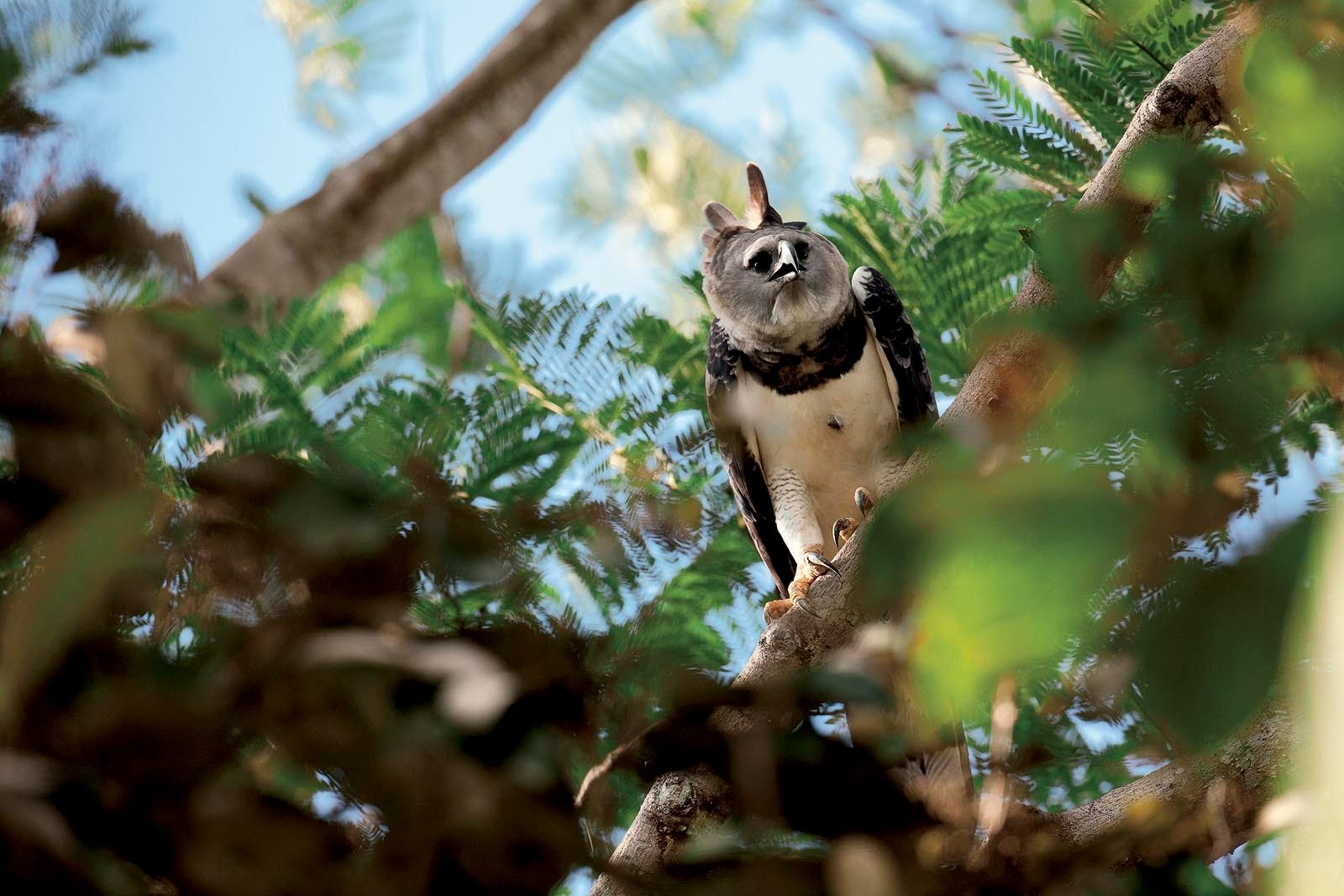 1r30_129_mg_2891_41b