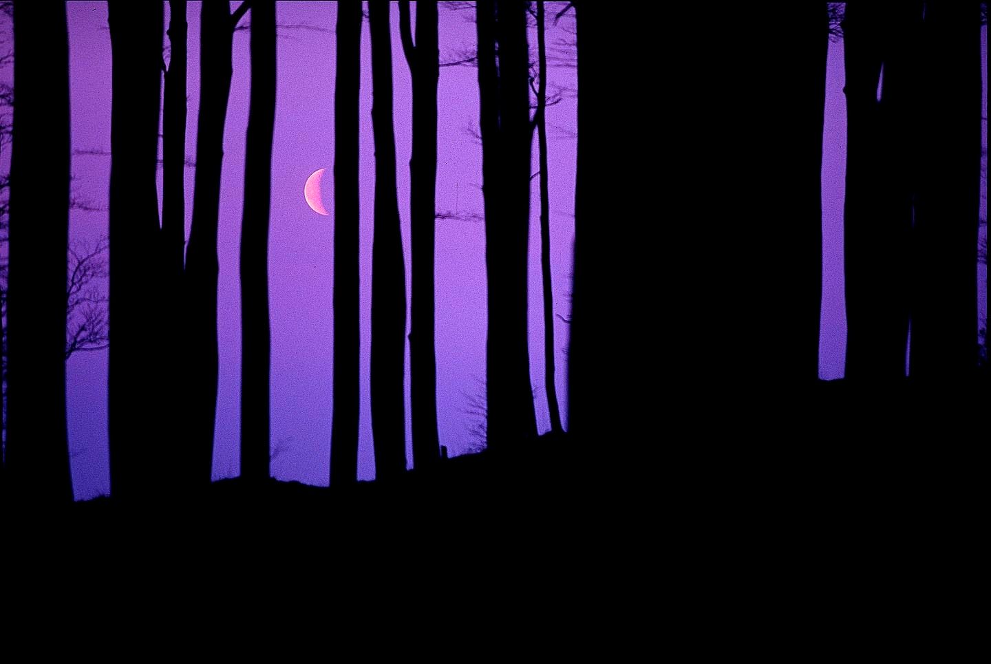 1r31_moonrise_winter