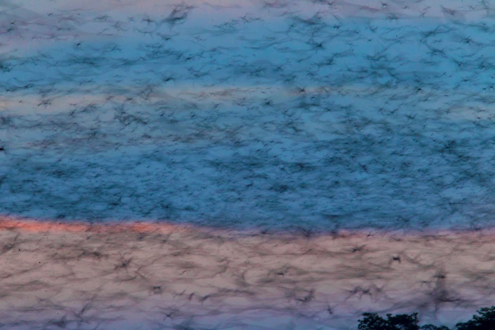 1r10_30_076__h3v3732