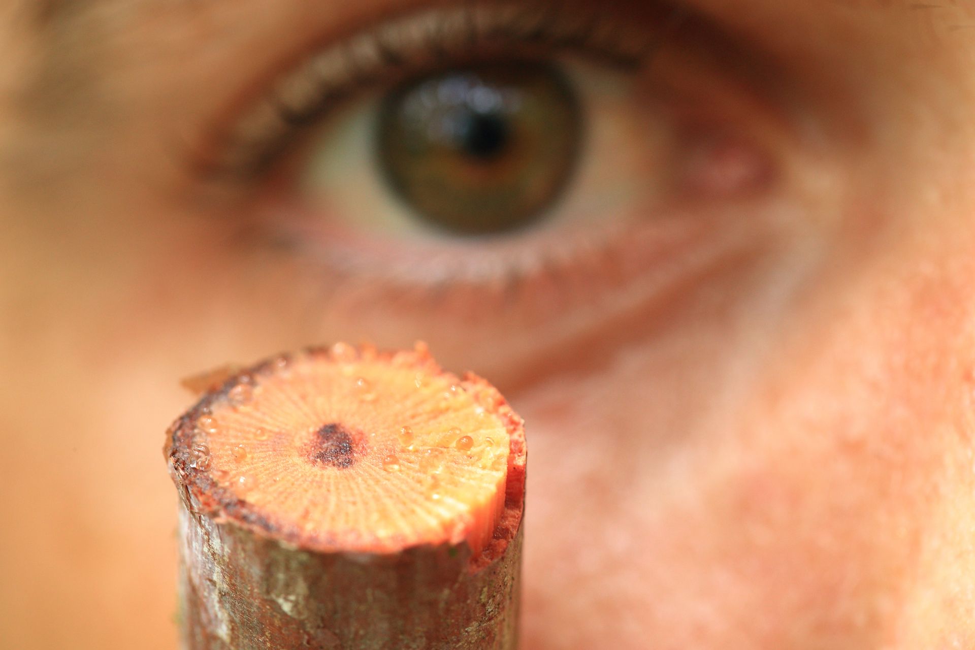 285-AH2I8620 copy.jpg