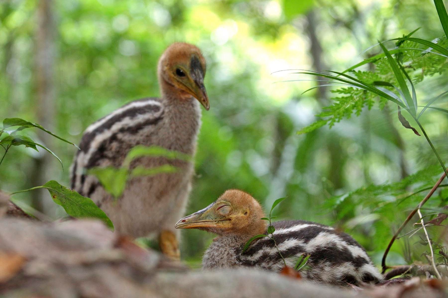 1r36_mm7817_121116_62346