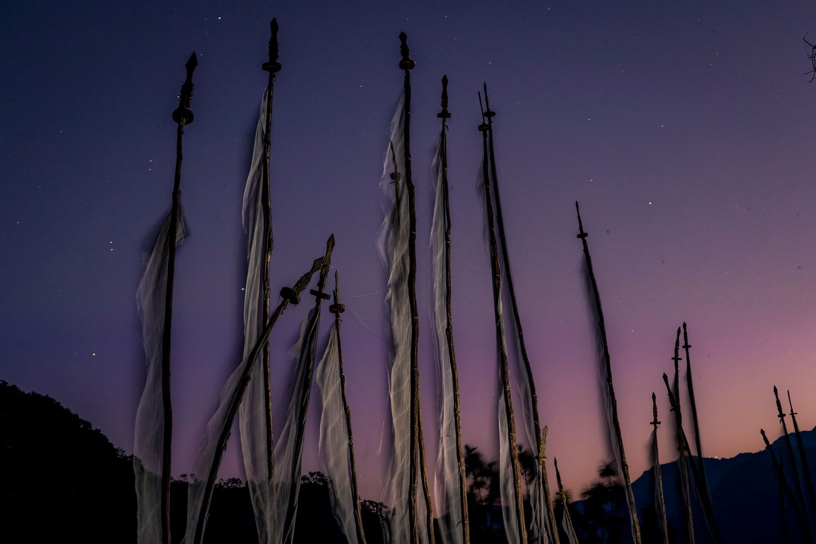 CA3I7386-2 2-2-2.jpg