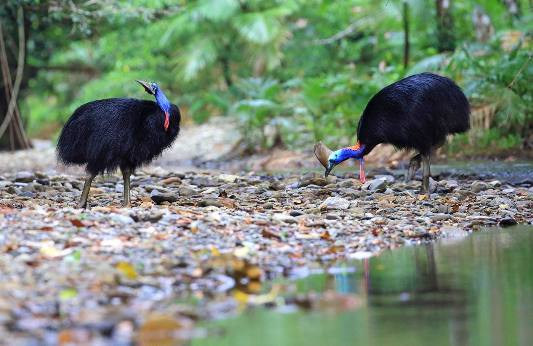 1mm7817_120913_41559c3s