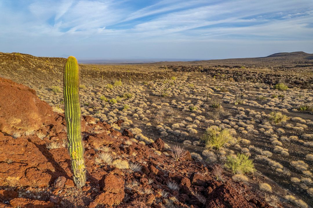 MM9826 _220430_007207-3-22.jpg